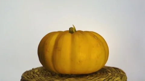 Decorative pumpkin Stock Footage 81557482