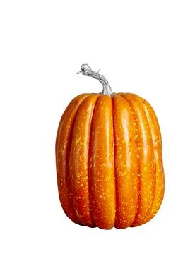 Decorative Pumpkin isolated over white background. Halloween Concept. Autum.. Stock Photos