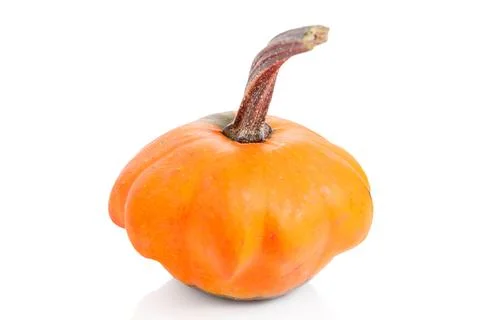 Decorative pumpkin isolated on white background. Autumn, fall, halloween co.. Stock Photos