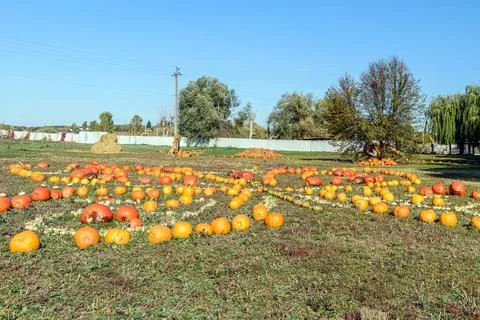Decorative pumpkin pattern on grass at Vivat Provincia complex Stock Photos