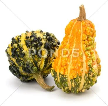 Decorative pumpkin Stock Photos