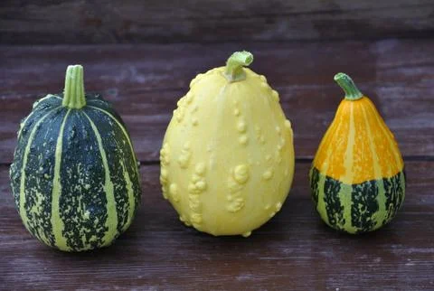 Decorative pumpkin Stock Photos