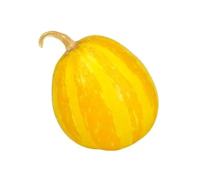 Decorative pumpkin Stock Photos