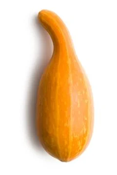 Decorative pumpkin Foto stock