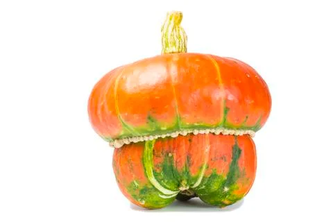Decorative pumpkin Stock Photos