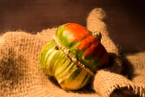 Decorative pumpkin Stock Photos