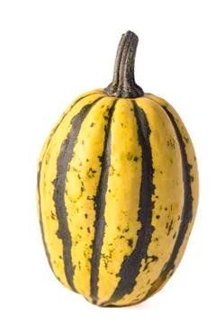 Decorative pumpkin Stock-Fotos