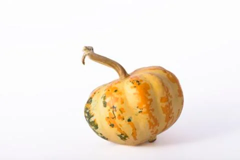 Decorative pumpkin Stock Photos