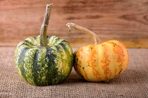 Decorative pumpkin Stock Photos