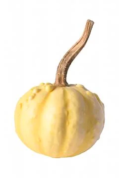 Decorative pumpkin Stock-Fotos