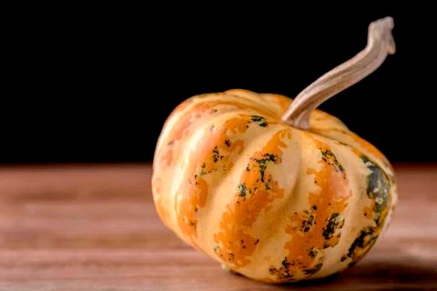 Decorative pumpkin Stock Photos