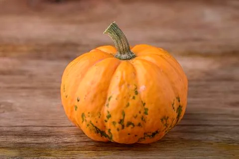 Decorative pumpkin Stock Photos