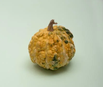 A decorative pumpkin Stock Photos