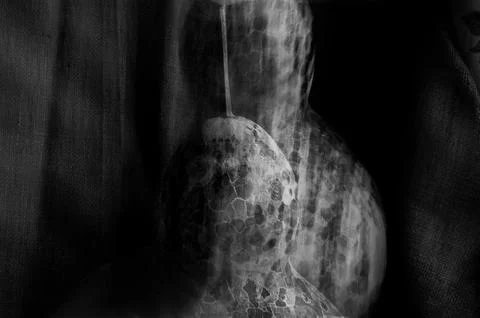 Decorative pumpkin view Foto stock