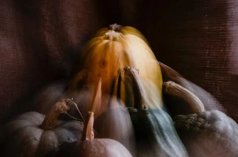 Decorative pumpkin view Foto stock