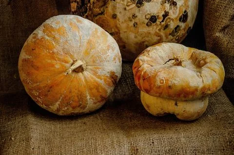 Decorative pumpkin view Foto stock