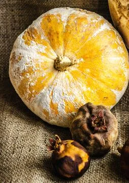Decorative pumpkin view Foto stock
