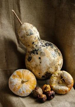 Decorative pumpkin view Foto stock