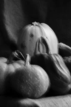 Decorative pumpkin view Foto stock