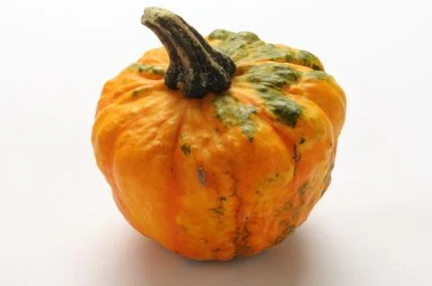 Decorative pumpkin on white background. Stock Photos
