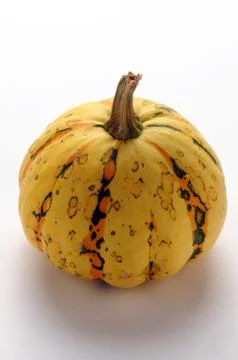 Decorative pumpkin on white background. Stock Photos