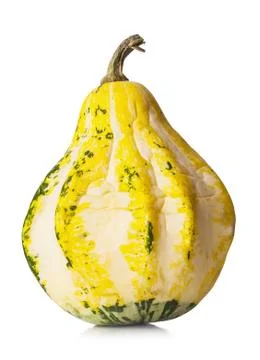Decorative pumpkin on white Stock Photos