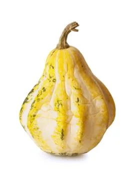 Decorative pumpkin on white Stock Photos