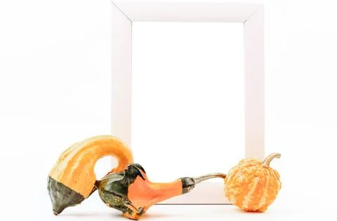 Decorative pumpkins and an empty frame on a white background Stock Photos