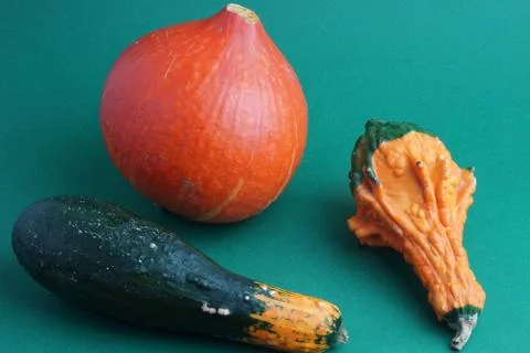 Decorative pumpkins on a green background 库存照片