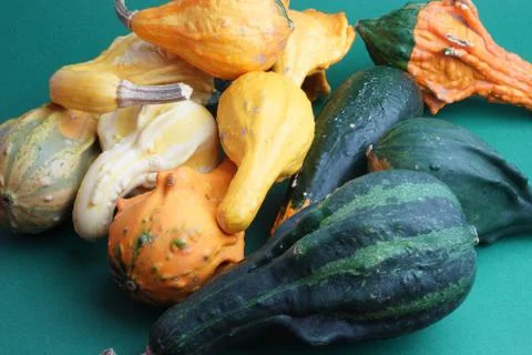 Decorative pumpkins on a green background Stock Photos