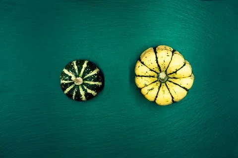 Decorative pumpkins on a green background. Stock Photos
