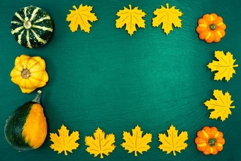 Decorative pumpkins on a green background. Stock Photos