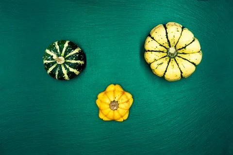 Decorative pumpkins on a green background. Stock Photos