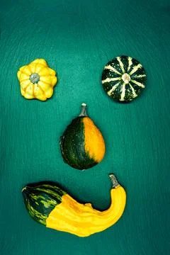 Decorative pumpkins on a green background. Stock Photos