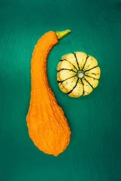 Decorative pumpkins on a green background. Stock Photos