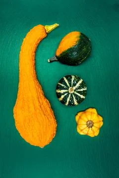 Decorative pumpkins on a green background. Stock Photos