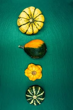 Decorative pumpkins on a green background. Stock Photos