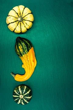 Decorative pumpkins on a green background. Stock Photos