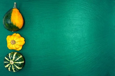 Decorative pumpkins on a green background. Stock Photos