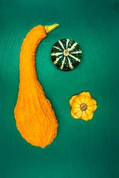 Decorative pumpkins on a green background. Stock Photos