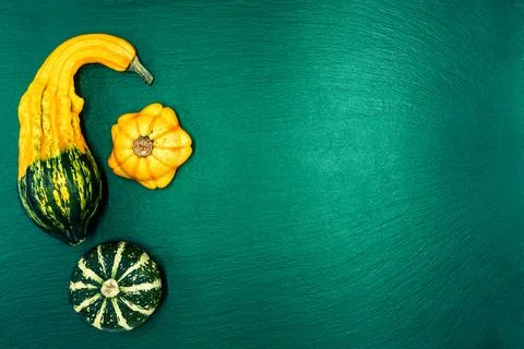 Decorative pumpkins on a green background. Stock Photos