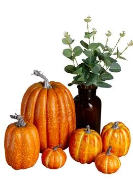 Decorative Pumpkins isolated over white background. Halloween Concept. Autu.. Stock Photos