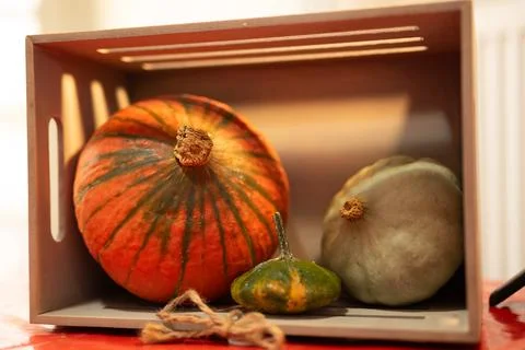 Decorative pumpkins on a kitchen table in a rural home Stock Photos