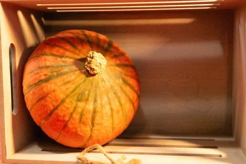 Decorative pumpkins on a kitchen table in a rural home Stock Photos