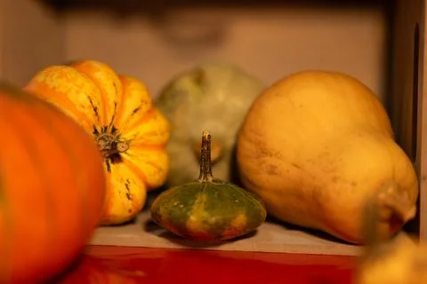Decorative pumpkins on a kitchen table in a rural home Stock Photos