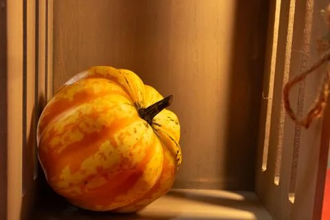 Decorative pumpkins on a kitchen table in a rural home Stock Photos