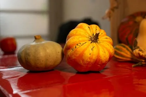 Decorative pumpkins on a kitchen table in a rural home Stock Photos