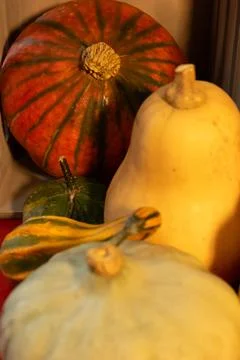 Decorative pumpkins on a kitchen table in a rural home Stock Photos