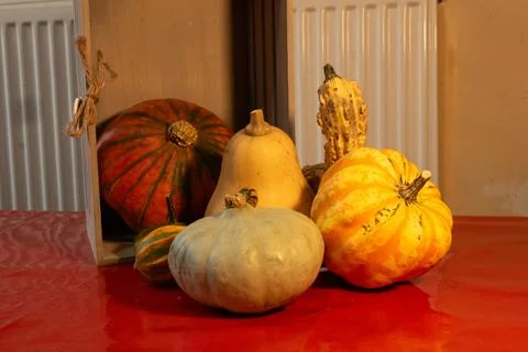 Decorative pumpkins on a kitchen table in a rural home Stock Photos