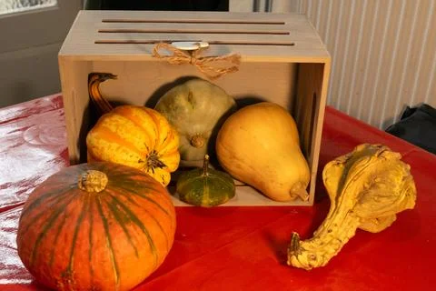 Decorative pumpkins on a kitchen table in a rural home Stock Photos